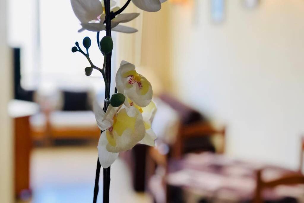 פלאייה דה לאס אמריקס Cozy Apartment Playa Las Americas מראה חיצוני תמונה